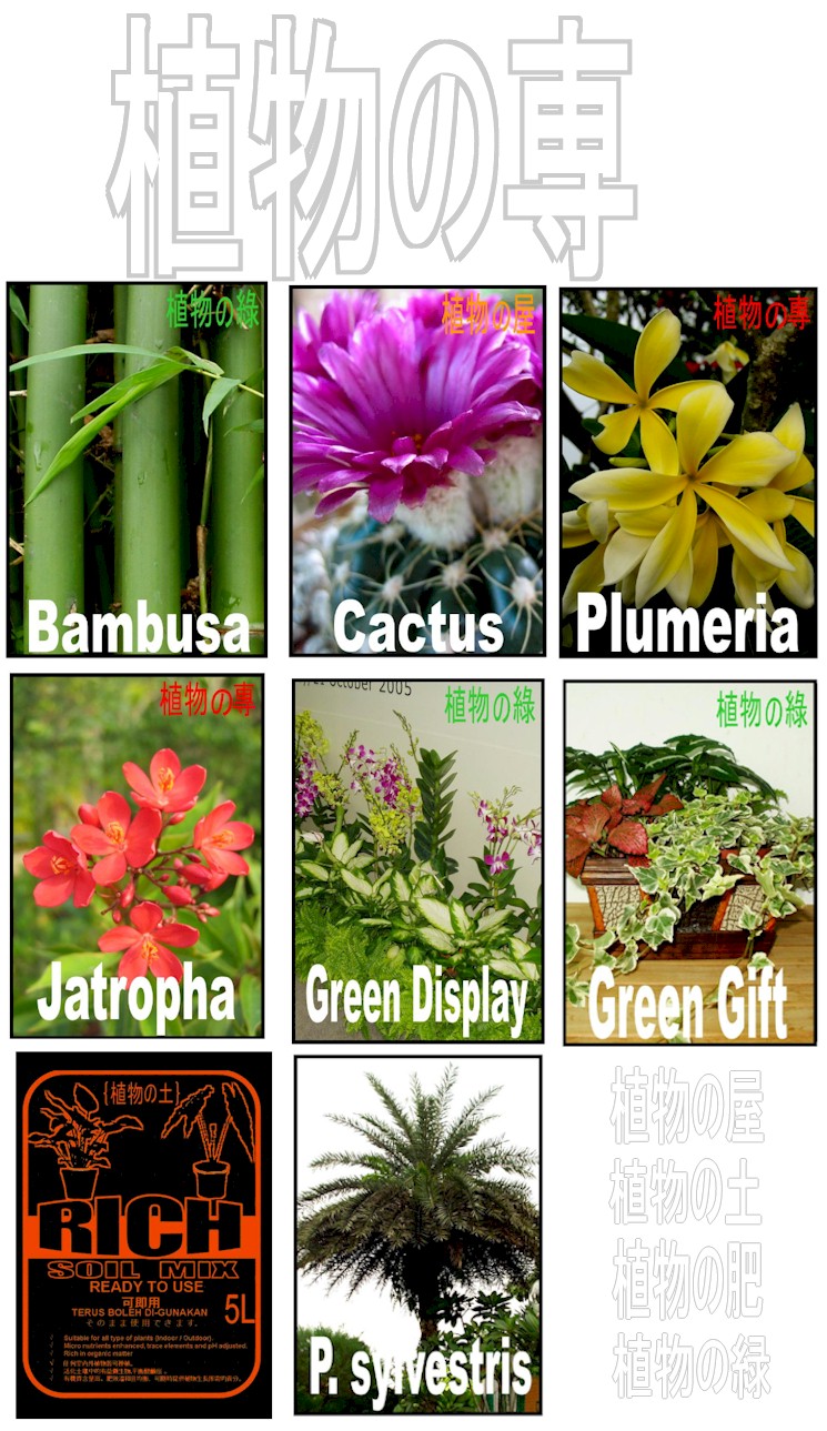 Products and Services